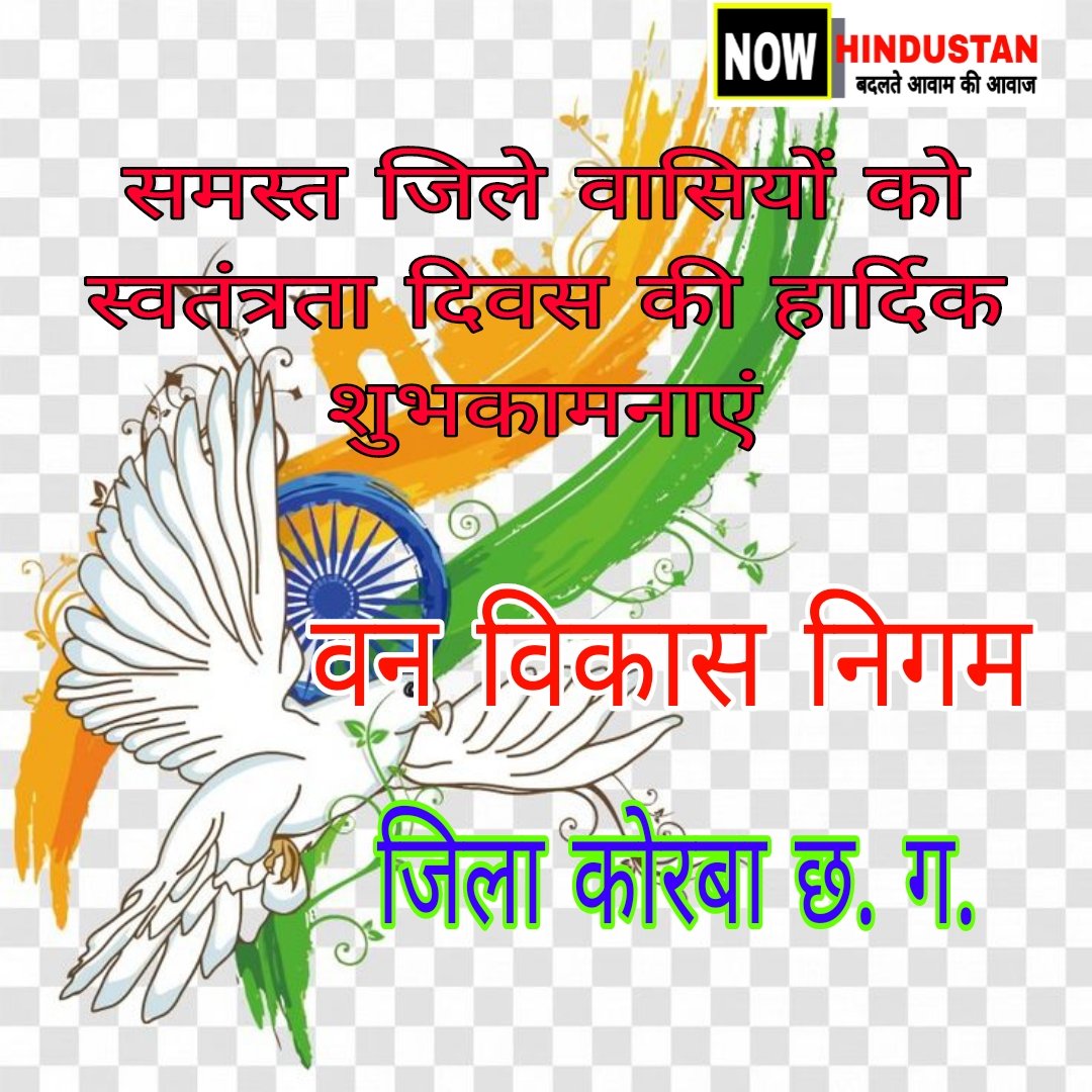 WhatsApp Image 2026-08-14 at 23.43.09 (1)